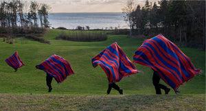 Blanket | Brush Series Blue Red